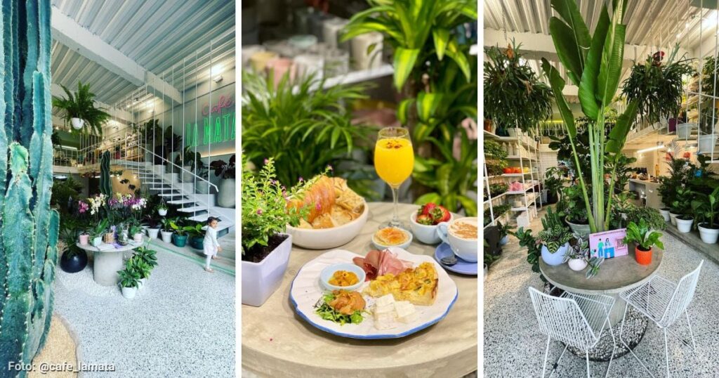 La cafetería en Bogotá de plantas que lo hará sentirse cerca de la naturaleza