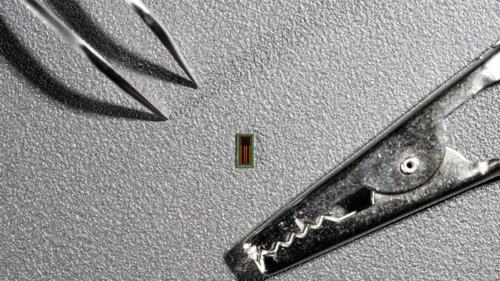 Así es MiBMI, el nuevo chip cerebral que podría plantarle cara a Neuralink