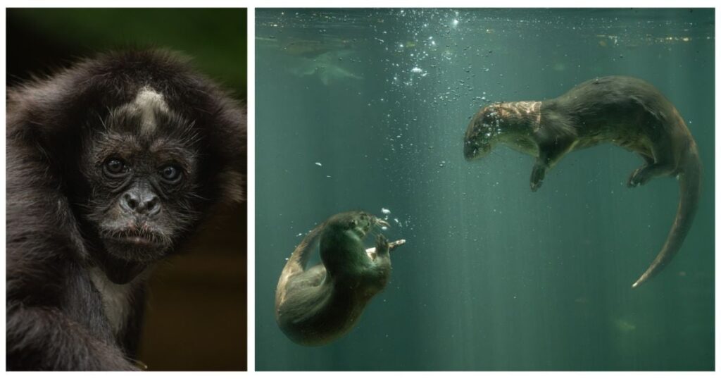 la producción audiovisual de Colsubsidio para todos los colombianos