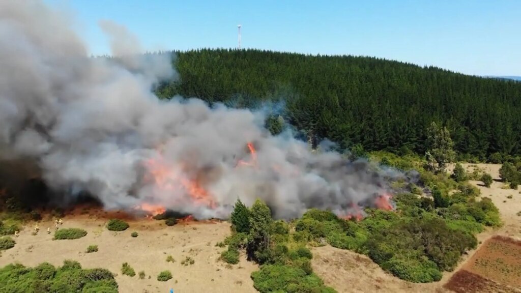 Esta constelación de satélites puede detectar incendios forestales antes de que se salgan de control