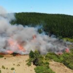 Esta constelación de satélites puede detectar incendios forestales antes de que se salgan de control