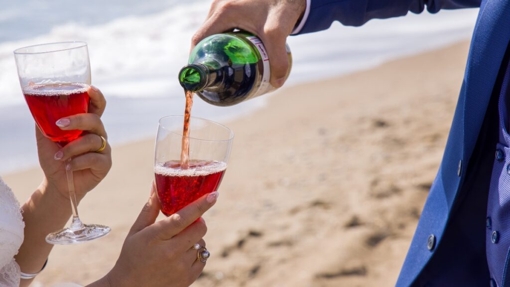 vinos ‘polivalentes’, frescos y con una excelente relación calidad- precio vinos ‘polivalentes’, frescos y con una excelente relación calidad- precio