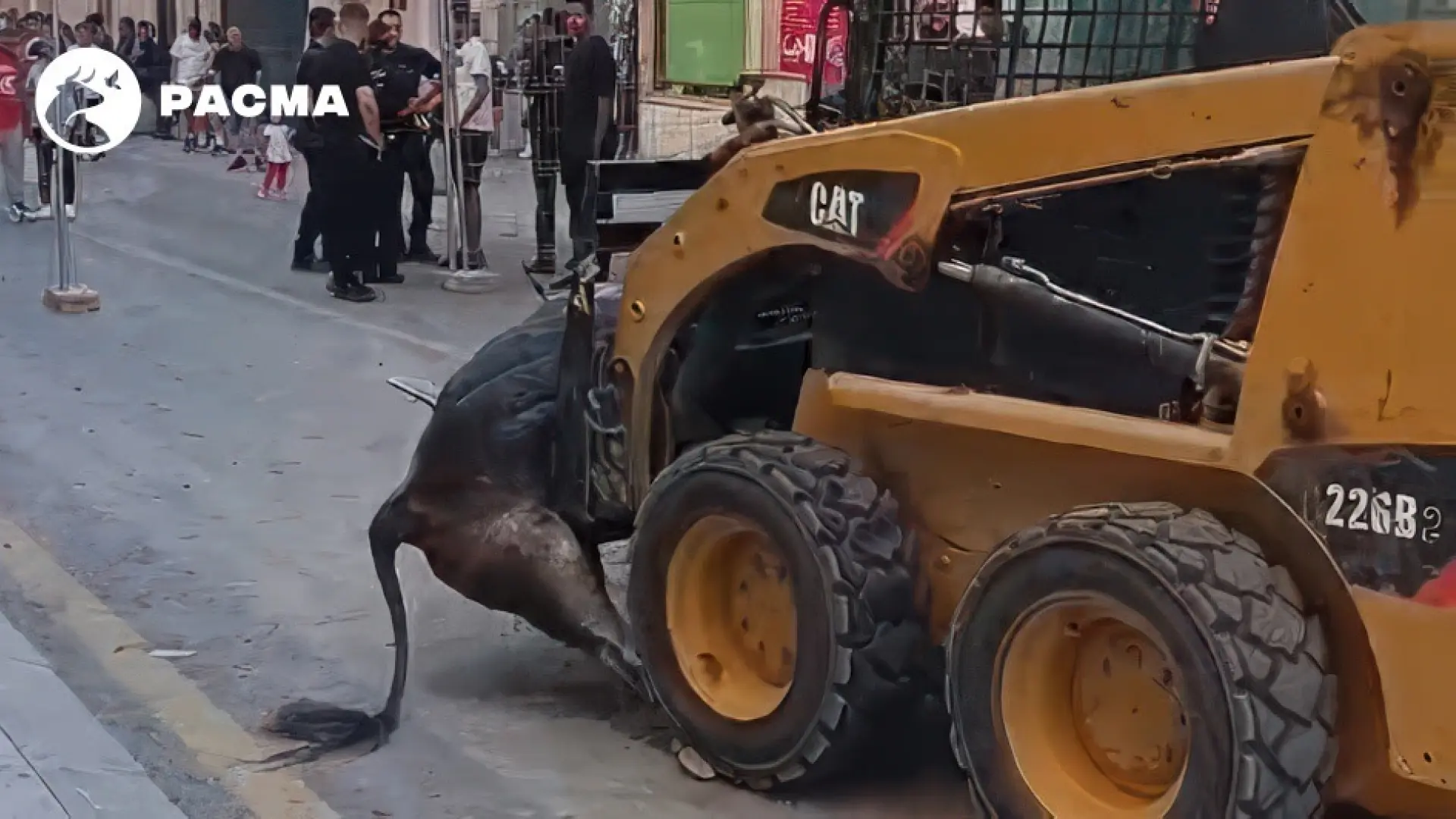 Pacma condena el «brutal» encierro de Morata de Tajuña, que acabó con dos cabestros muertos a cornadas