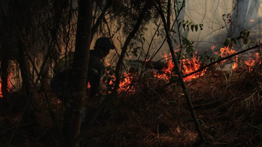 Alerta ambiental en Colombia con 26 incendios forestales activos Alerta ambiental en Colombia con 26 incendios forestales activos
