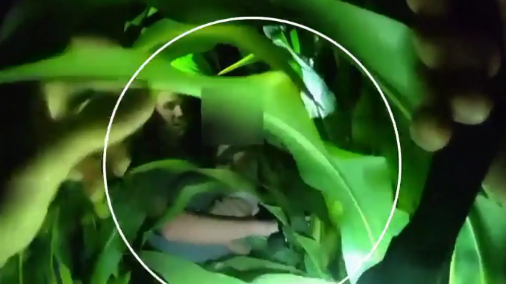 Un dron ayuda a recatar a un niño desaparecido en un maizal en Estados Unidos