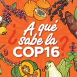 La Buena Gestión en la Producción y Entrega de Alimentos: La Transformadora Labor de Corpovalle