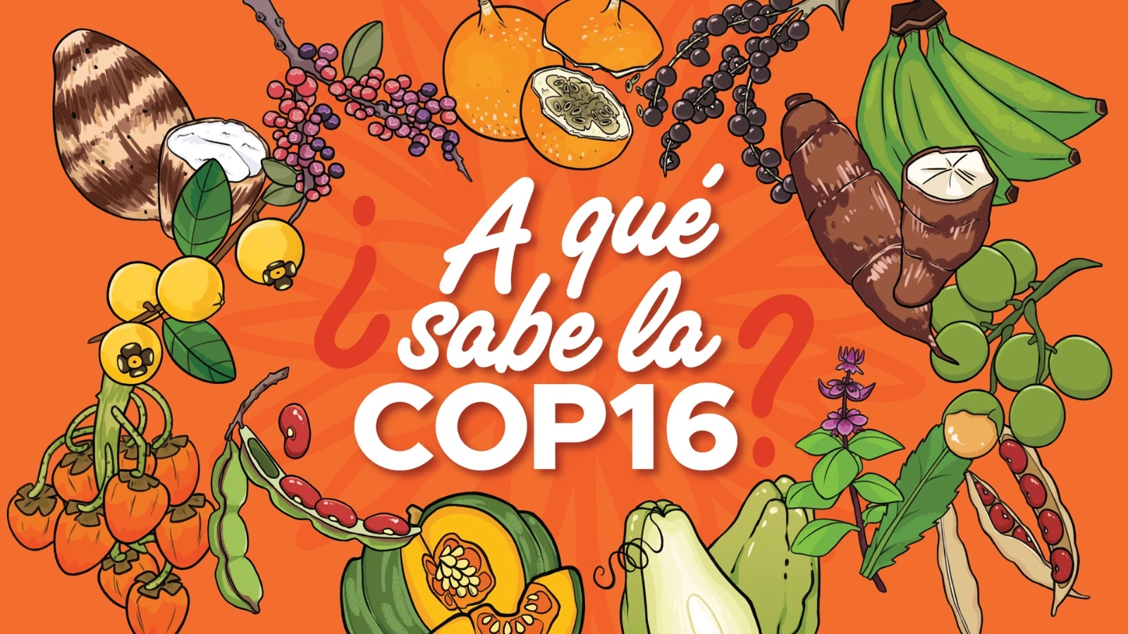 La Buena Gestión en la Producción y Entrega de Alimentos: La Transformadora Labor de Corpovalle