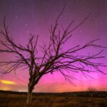 Cuántos colores pueden tener las auroras boreales y cómo se forman Cuántos colores pueden tener las auroras boreales y cómo se forman