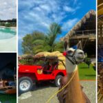 El plan en Quimbaya para disfrutar del Quindío con desayuno, piscina, cine bajo las estrellas y más
