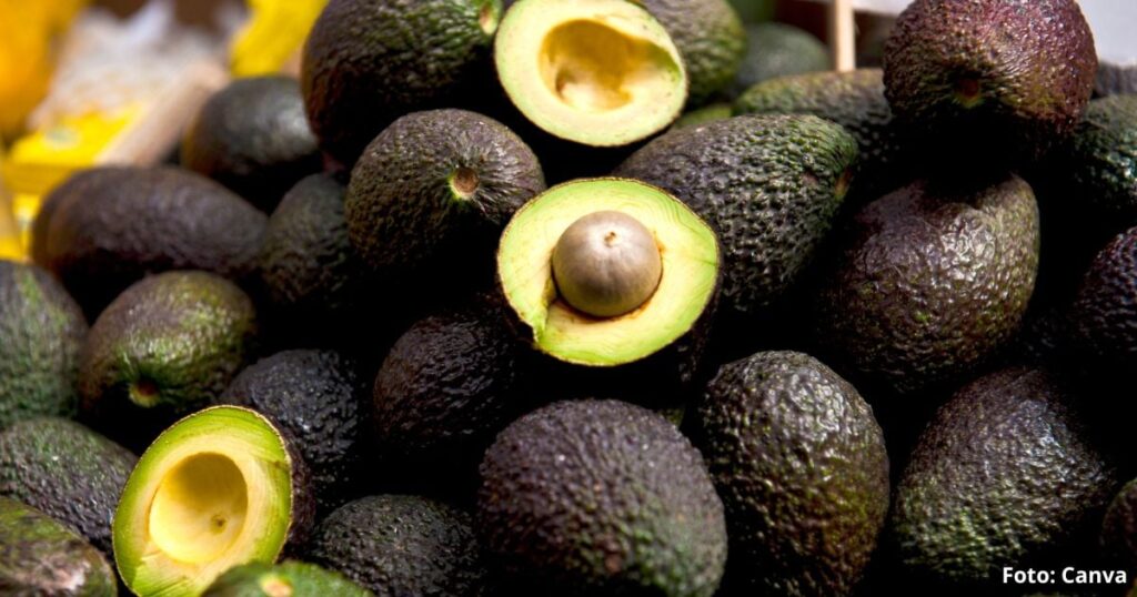 El truco infalible para conservar los aguacates después de abiertos; los mantiene frescos El truco infalible para conservar los aguacates después de abiertos; los mantiene frescos