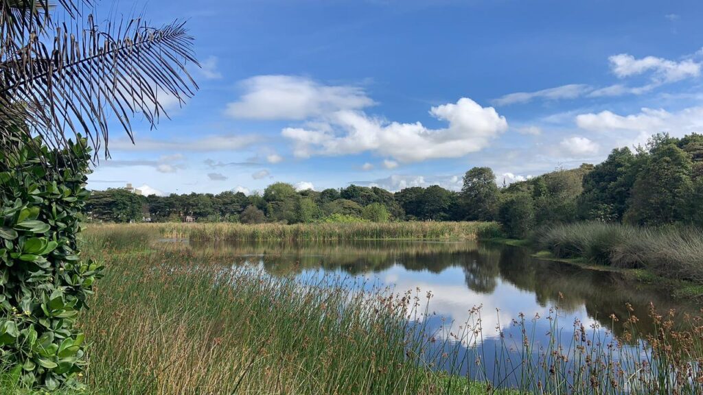 Bogotá da un gran paso para monitorea biodiversidad Bogotá da un gran paso para monitorea biodiversidad