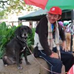 Unos 20 mil animales domésticos serán esterilizados en Antioquia