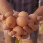 Fenavi sorprende con nueva campaña que promete acabar con el hambre