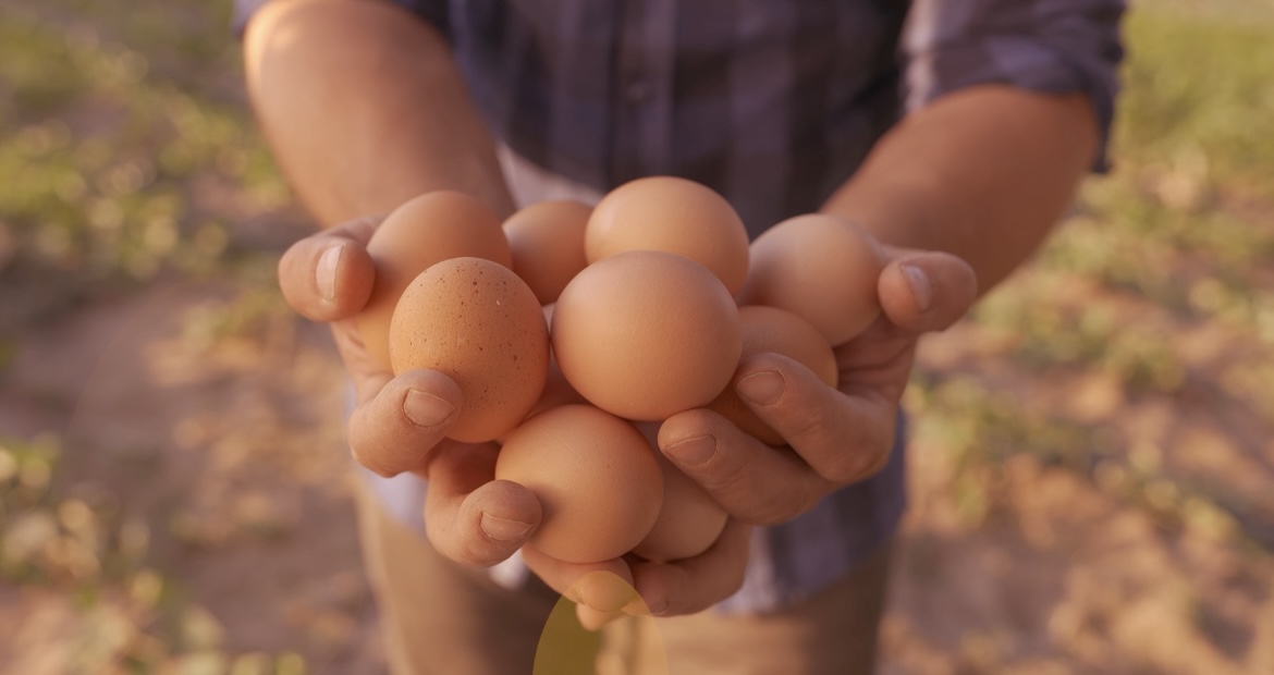 Fenavi sorprende con nueva campaña que promete acabar con el hambre