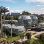 Plan imperdible para toda la familia en Bogotá: solo cuesta .000