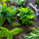 La hierba clave que debes añadir a las infusiones para el cuidado de la memoria