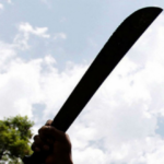 Encontraron a un perro mutilado en el patio de una casa en Rionegro