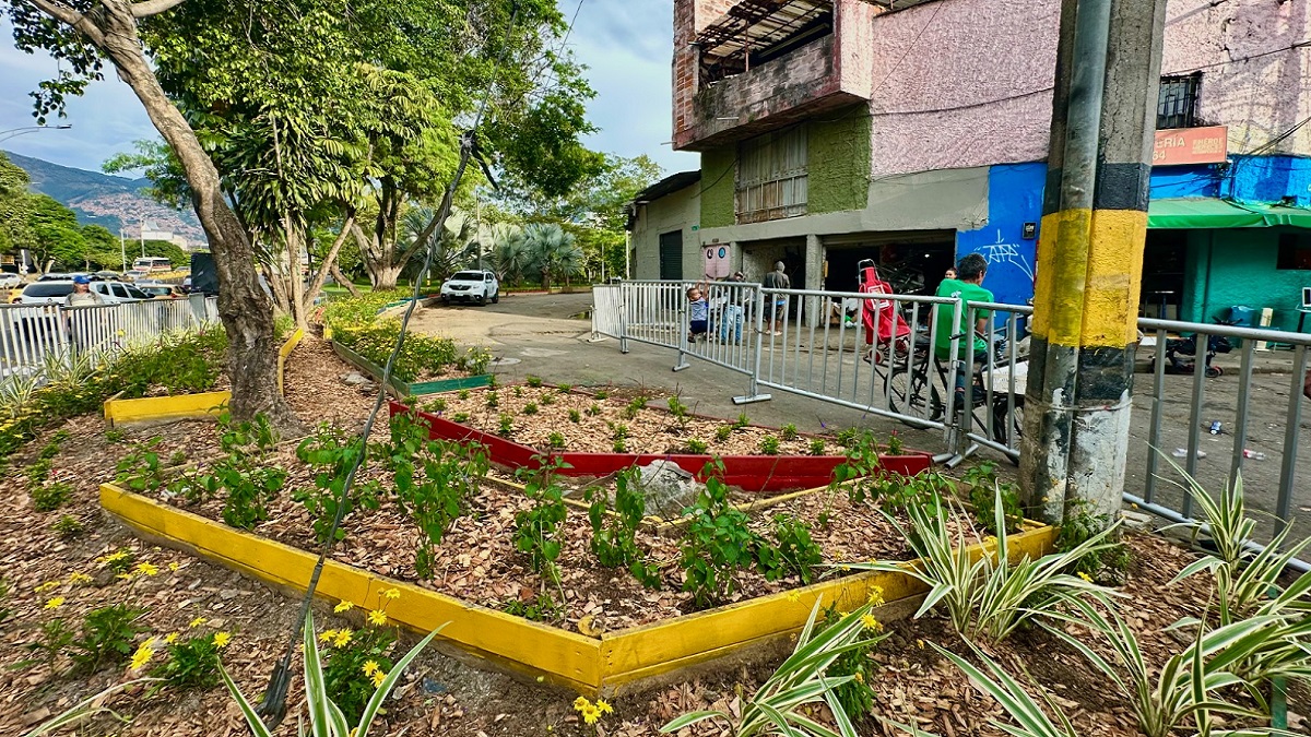 Medellín: Renuevan sector de Laureles con la siembra de 2.500 plantas