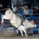 El Legado del Rodeo Tombstone: Tradición y Modernidad en un Espectáculo Mundial El Legado del Rodeo Tombstone: Tradición y Modernidad en un Espectáculo Mundial