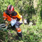 La Pintada: Bebé se salvó de milagro en siniestro vial