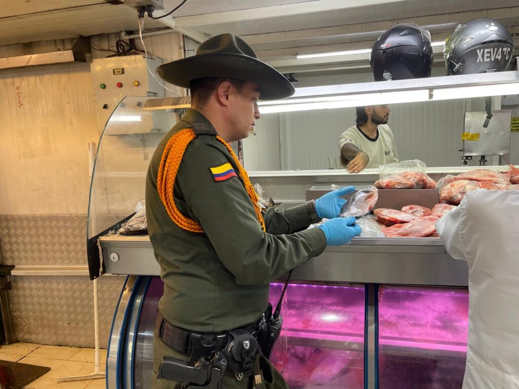 Autoridades decomisan 7 toneladas de tilapia por valor de millones Autoridades decomisan 7 toneladas de tilapia por valor de millones