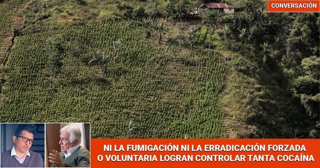 ¿Por qué 12 gobiernos no han podido ganársela a la coca, que cada vez ahoga más al país?