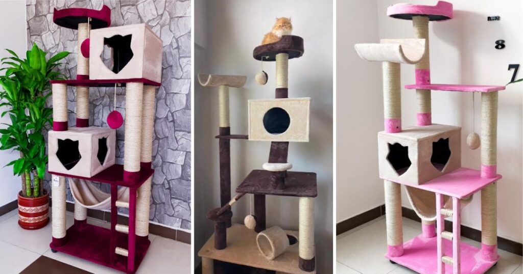 Dónde consigue gimnasios para gato desde 0 mil; duran mucho Dónde consigue gimnasios para gato desde 0 mil; duran mucho