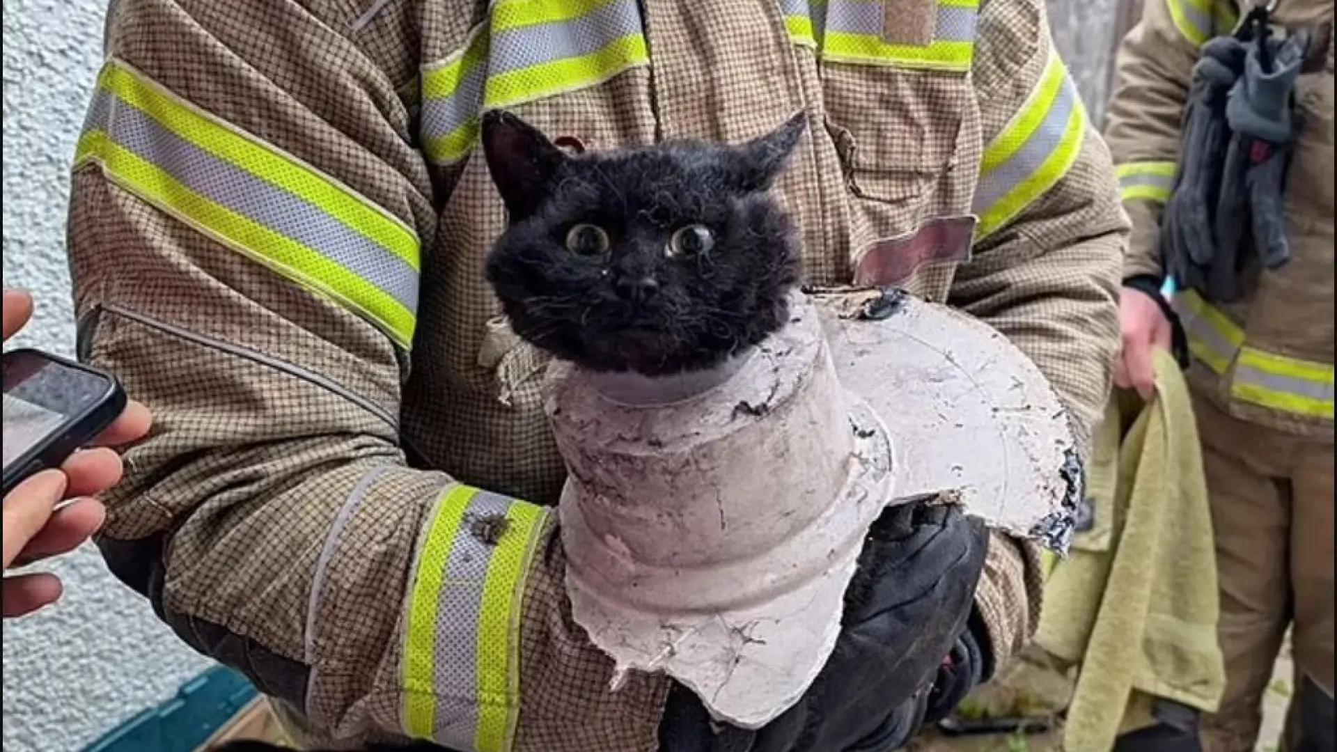 El angustioso rescate de una gatita que quedó atrapada en una tubería