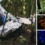 El documental de Netflix sobre los secretos no contados del rescate de los niños perdidos en la selva El documental de Netflix sobre los secretos no contados del rescate de los niños perdidos en la selva
