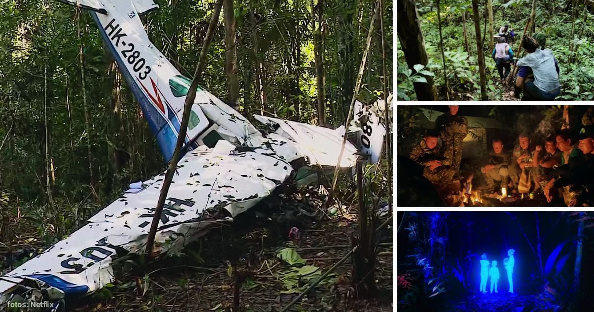 El documental de Netflix sobre los secretos no contados del rescate de los niños perdidos en la selva El documental de Netflix sobre los secretos no contados del rescate de los niños perdidos en la selva