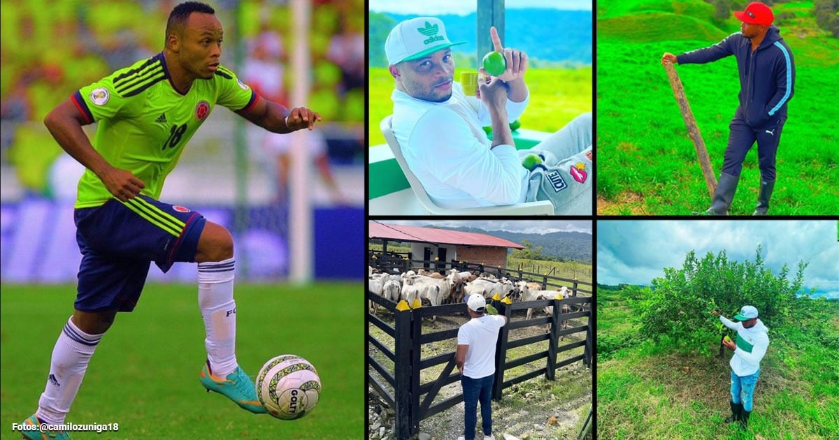 El feliz retiro de Camilo Zuñiga en medio de ganado, cultivos de limón, y vendiendo casas y apartamentos El feliz retiro de Camilo Zuñiga en medio de ganado, cultivos de limón, y vendiendo casas y apartamentos