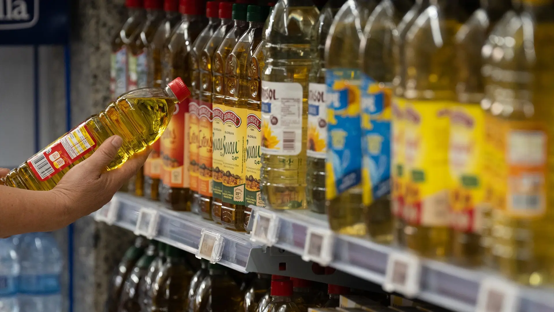 El precio del aceite de oliva virgen extra cae un 2,5% en el súper mientras que en origen desciende un 13% El precio del aceite de oliva virgen extra cae un 2,5% en el súper mientras que en origen desciende un 13%