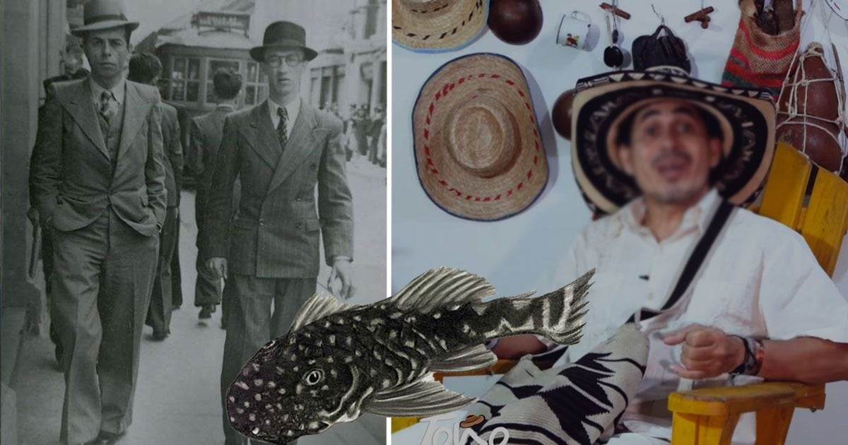 El verdadero origen de la palabra corroncho, el insulto costeño más conocido del país