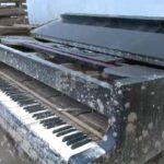 La DANA destroza una fábrica de banquetas para piano que cuenta con clientes como Elton John o Lady Gaga La DANA destroza una fábrica de banquetas para piano que cuenta con clientes como Elton John o Lady Gaga