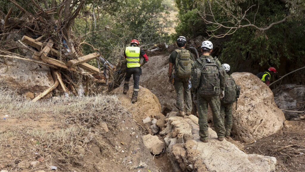 cuáles son sus funciones en la zona de crisis cuáles son sus funciones en la zona de crisis