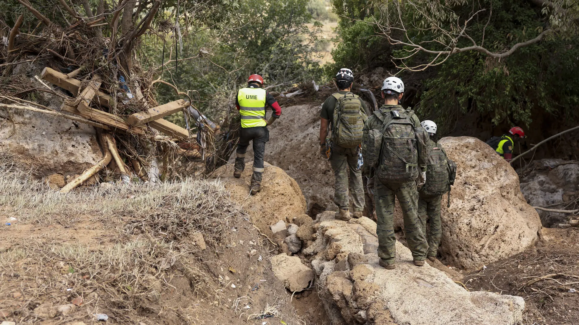 cuáles son sus funciones en la zona de crisis