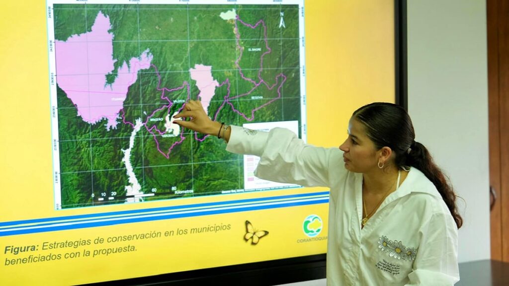 Antioquia: Proyecto para recuperar zonas afectadas por la minería ilegal Antioquia: Proyecto para recuperar zonas afectadas por la minería ilegal