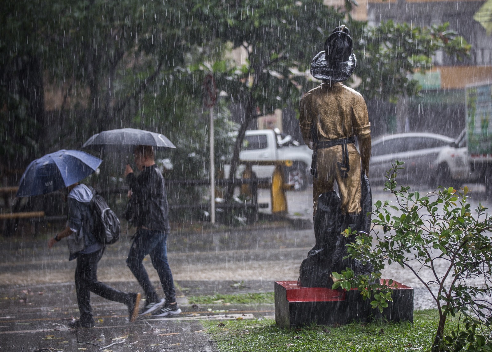 Lluvias en Medellín dejan casas afectadas y árboles caídos Lluvias en Medellín dejan casas afectadas y árboles caídos
