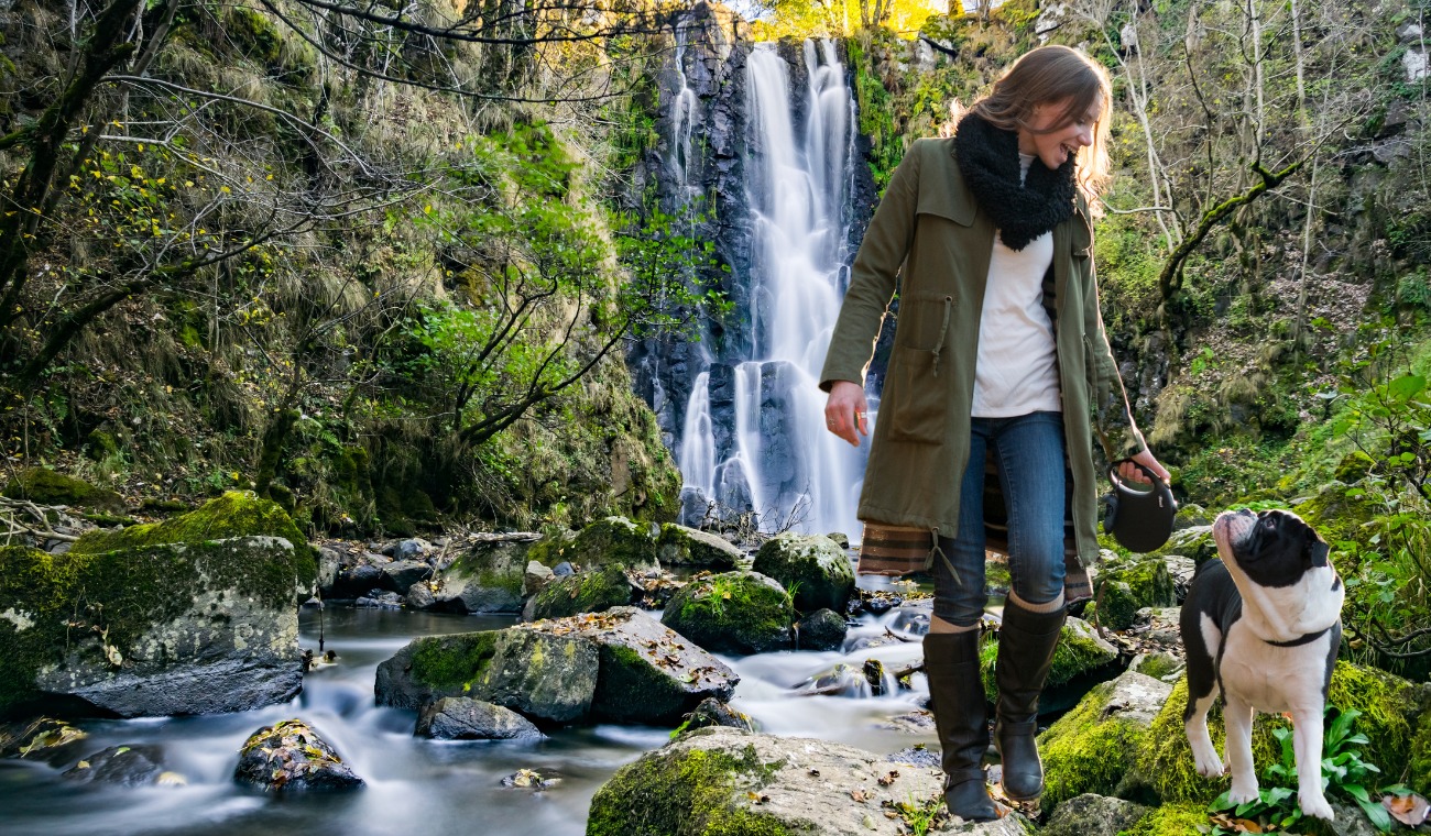 GRATIS y al aire libre: Explora una cascada cerca a Bogotá junto a su perro GRATIS y al aire libre: Explora una cascada cerca a Bogotá junto a su perro