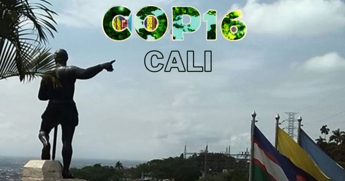 ¿Por qué de ganar Trump, el terreno ganado en la COP se puede ir al traste? ¿Por qué de ganar Trump, el terreno ganado en la COP se puede ir al traste?