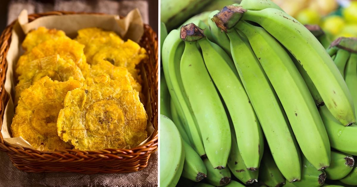 ¿Qué pasa si come plátano verde todos los días? Puede ser un alimento que cambie su salud por completo ¿Qué pasa si come plátano verde todos los días? Puede ser un alimento que cambie su salud por completo