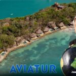 Aviatur, la gigante del turismo de los Bessudo que fue creada con  mil y 5 empleados