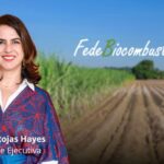 De quién es la Fedebiocombustibles, la federación que manda en el negocio de los biocombustibles