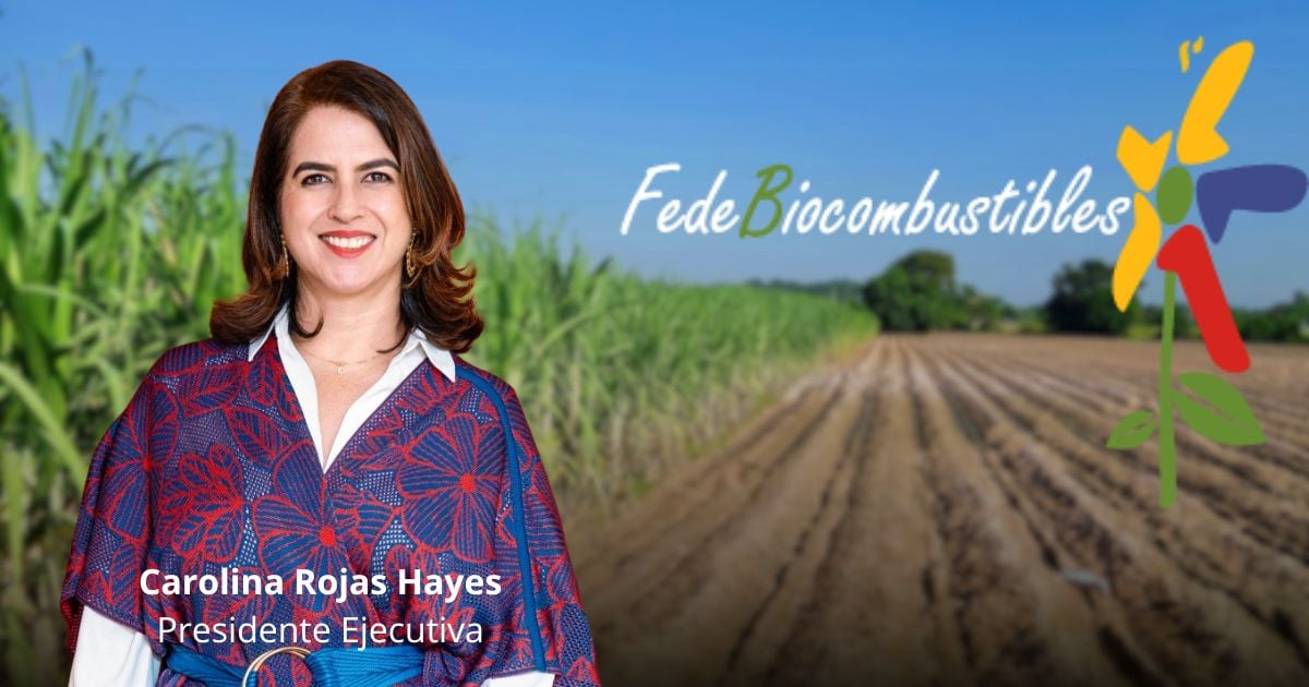 De quién es la Fedebiocombustibles, la federación que manda en el negocio de los biocombustibles De quién es la Fedebiocombustibles, la federación que manda en el negocio de los biocombustibles