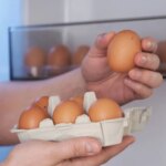 El motivo por el que no deberías conservar los huevos en la puerta del frigorífico