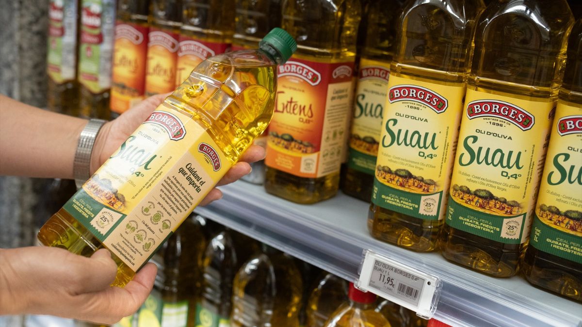 El precio del aceite cierra el año en ‘caída libre’ y pone en alerta a los productores El precio del aceite cierra el año en ‘caída libre’ y pone en alerta a los productores