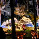 Navidad 2024: Jardín Botánico confirma espectáculo imperdible para velitas