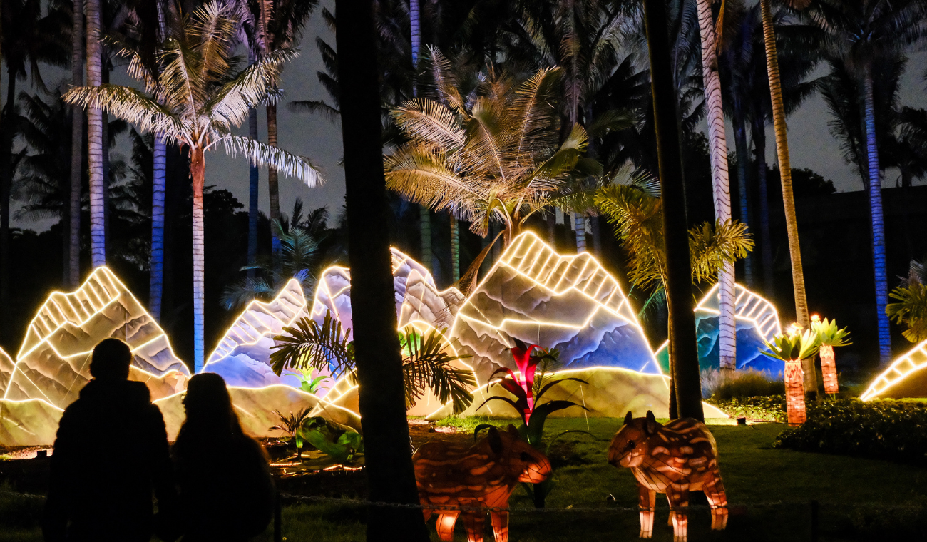 Navidad 2024: Jardín Botánico confirma espectáculo imperdible para velitas