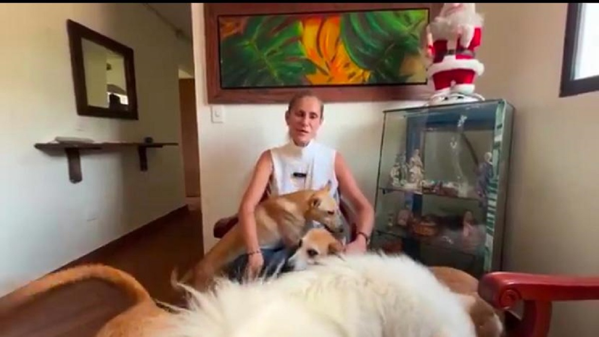Mujer habilitó su casa en La Estrella como refugio para animales callejeros Mujer habilitó su casa en La Estrella como refugio para animales callejeros