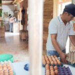 Noticias Medellín: 400 personas víctimas del conflicto regresaron este 2024 Noticias Medellín: 400 personas víctimas del conflicto regresaron este 2024